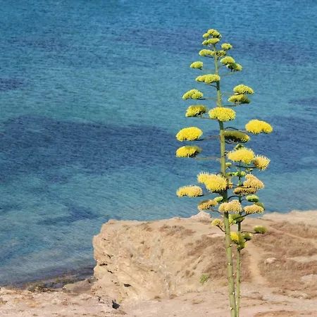 Hotel Battimandorlo Noto