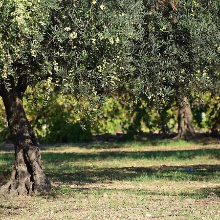 Hotel Battimandorlo *