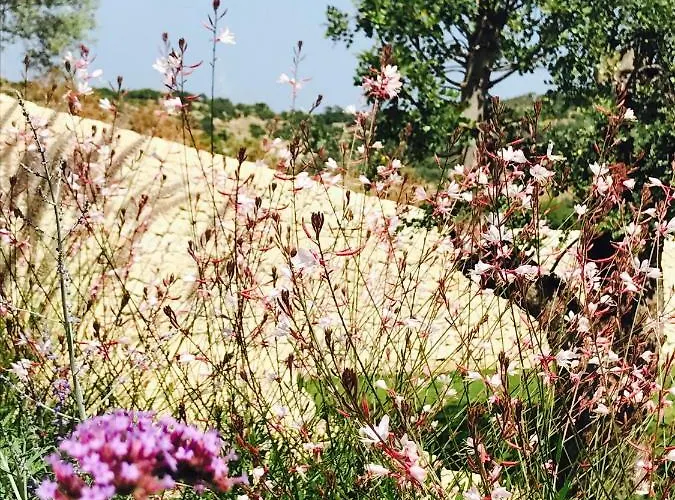 Battimandorlo Hotel Noto