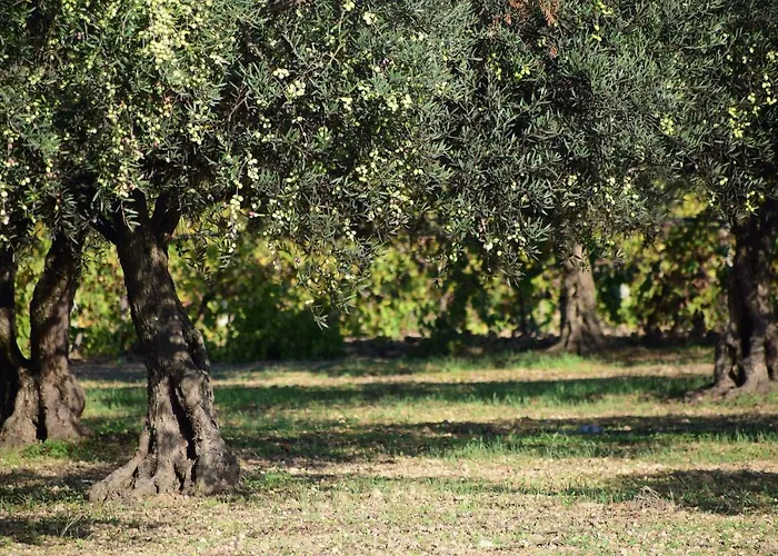 Hotel Battimandorlo *